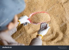 饲料配方技术支持